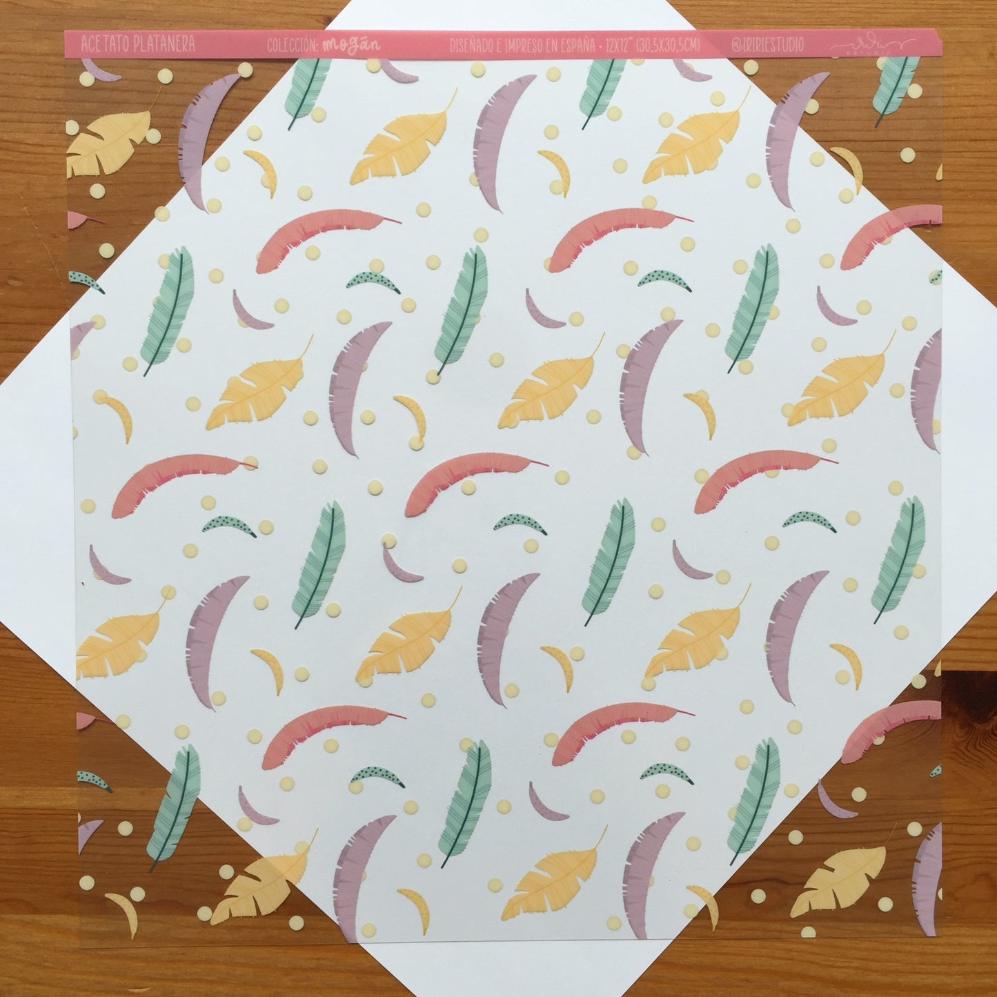 ACETATO PLATANERA - MOGÁN - COLEC. FÉNIX - SCRAPBOOKING