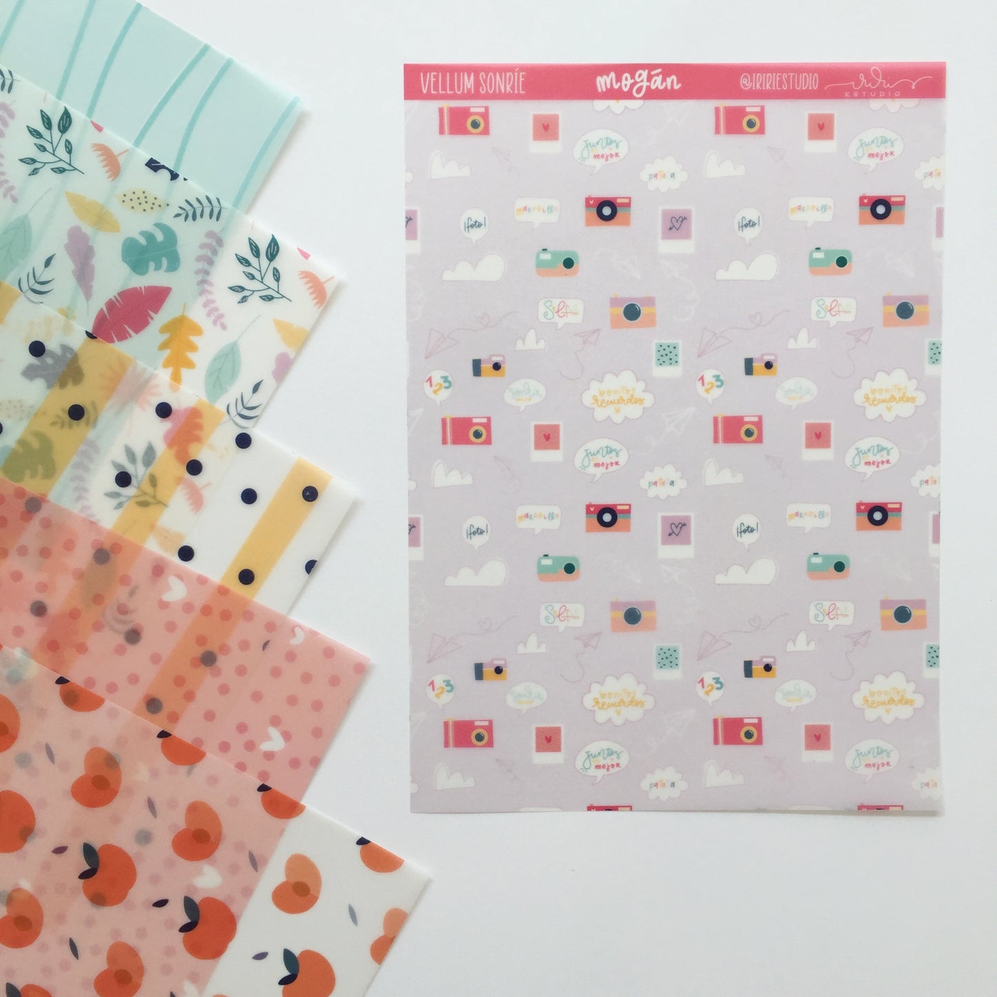 PACK 6 VELLUMS MOGÁN - COLEC. FÉNIX - SCRAPBOOKING