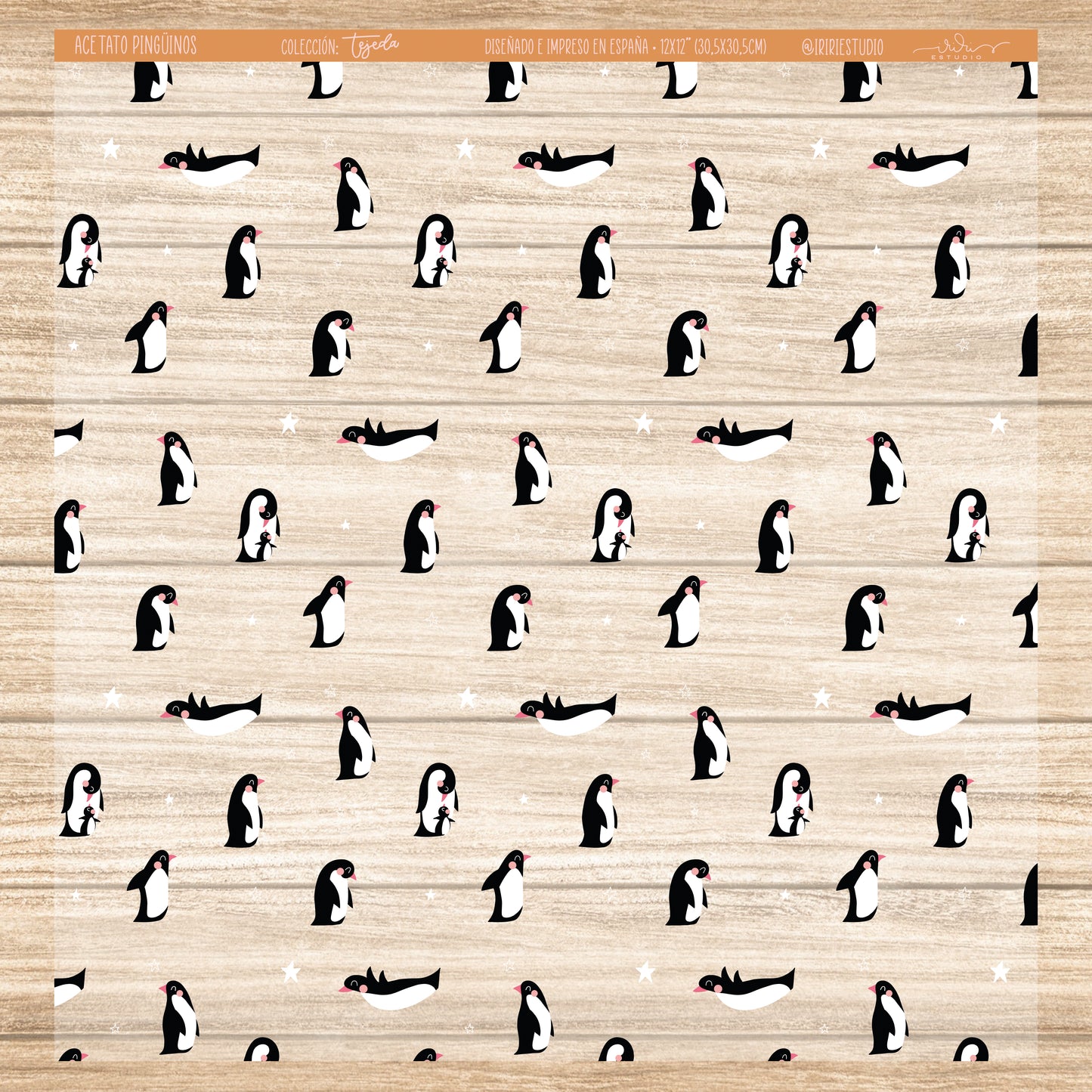 ACETATO PINGÜINOS - TEJEDA - REPO BAJO PEDIDO - SCRAPBOOKING