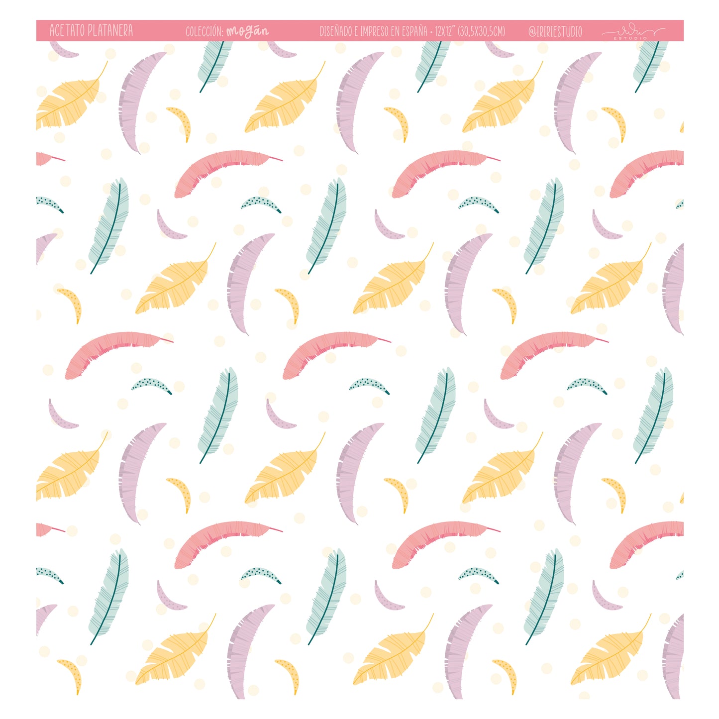 ACETATO PLATANERA - MOGÁN - COLEC. FÉNIX - SCRAPBOOKING