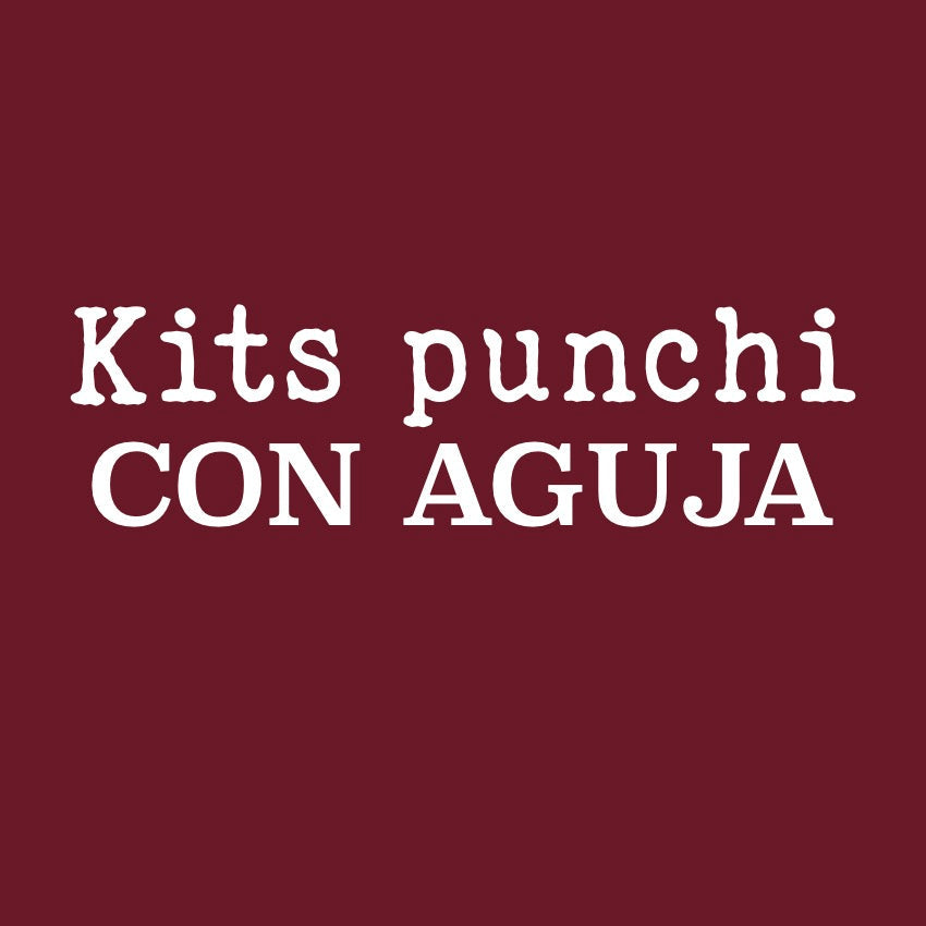 KITS PUNCHI CON AGUJA