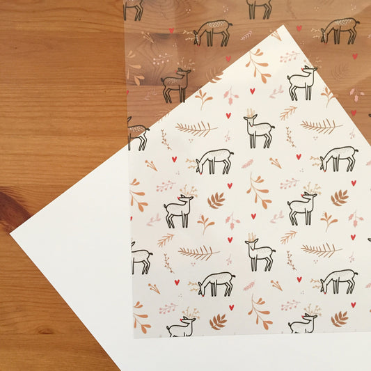 ACETATO RENOS - TEJEDA  - SCRAPBOOKING