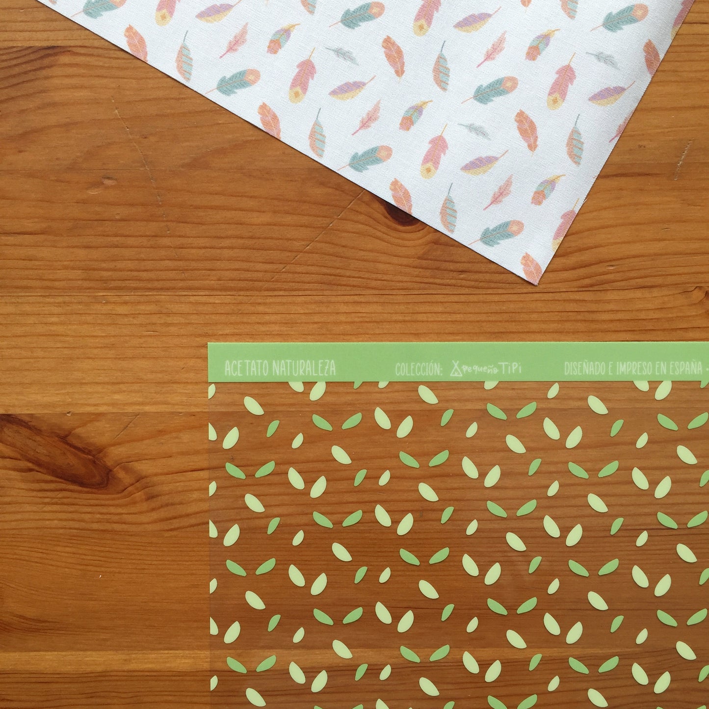 ACETATO NATURALEZA - PEQUEÑO TIPI - SCRAPBOOKING