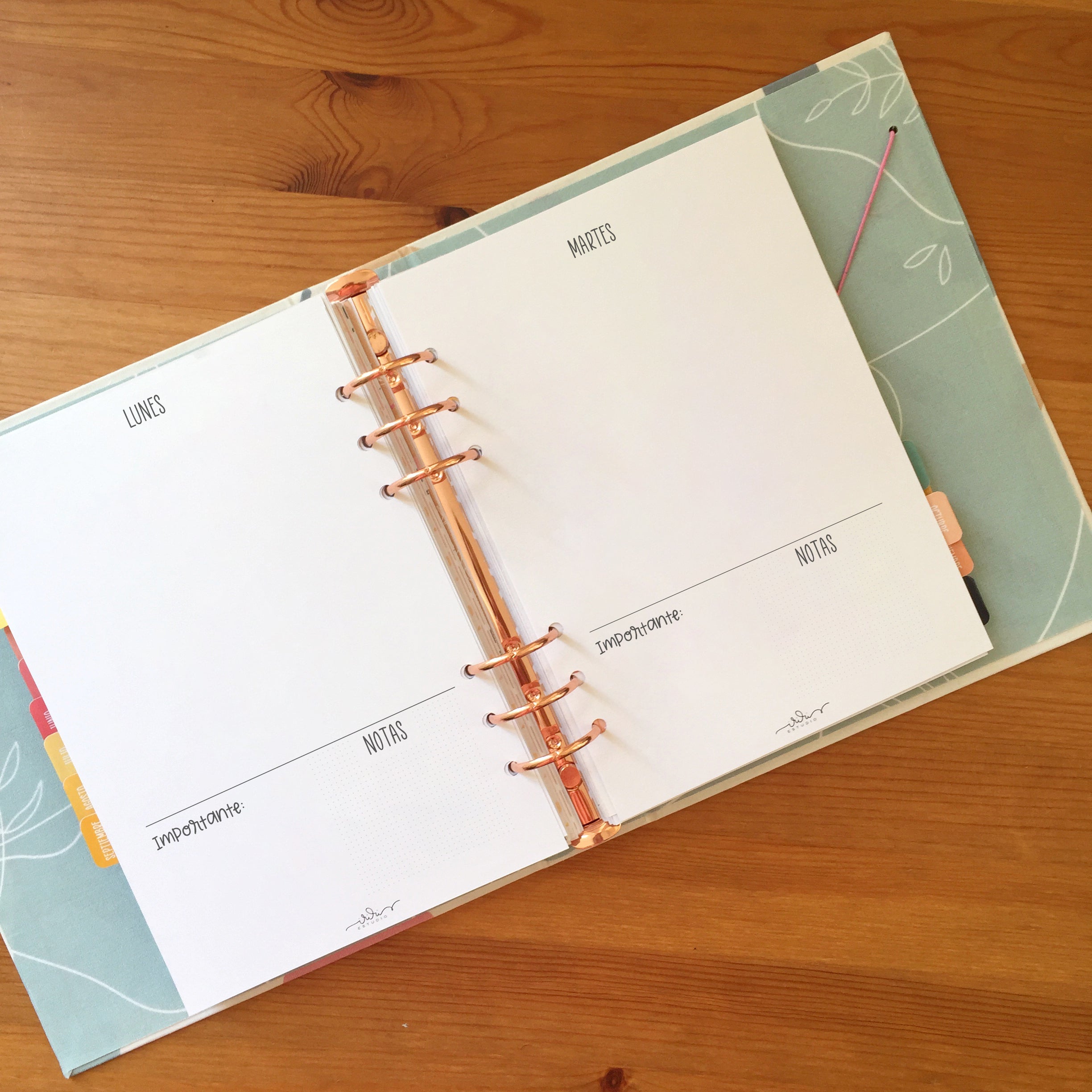 RELLENO AGENDA PERPETUA DÍA PÁGINA - DIGITAL
